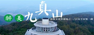 大鸡巴操AV在线区